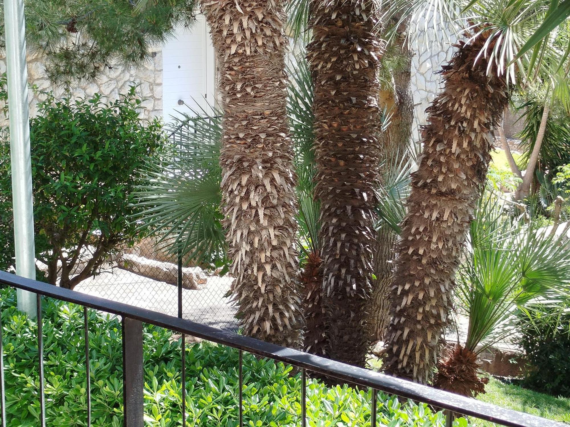 شقة Brisa Del Mar سالو المظهر الخارجي الصورة